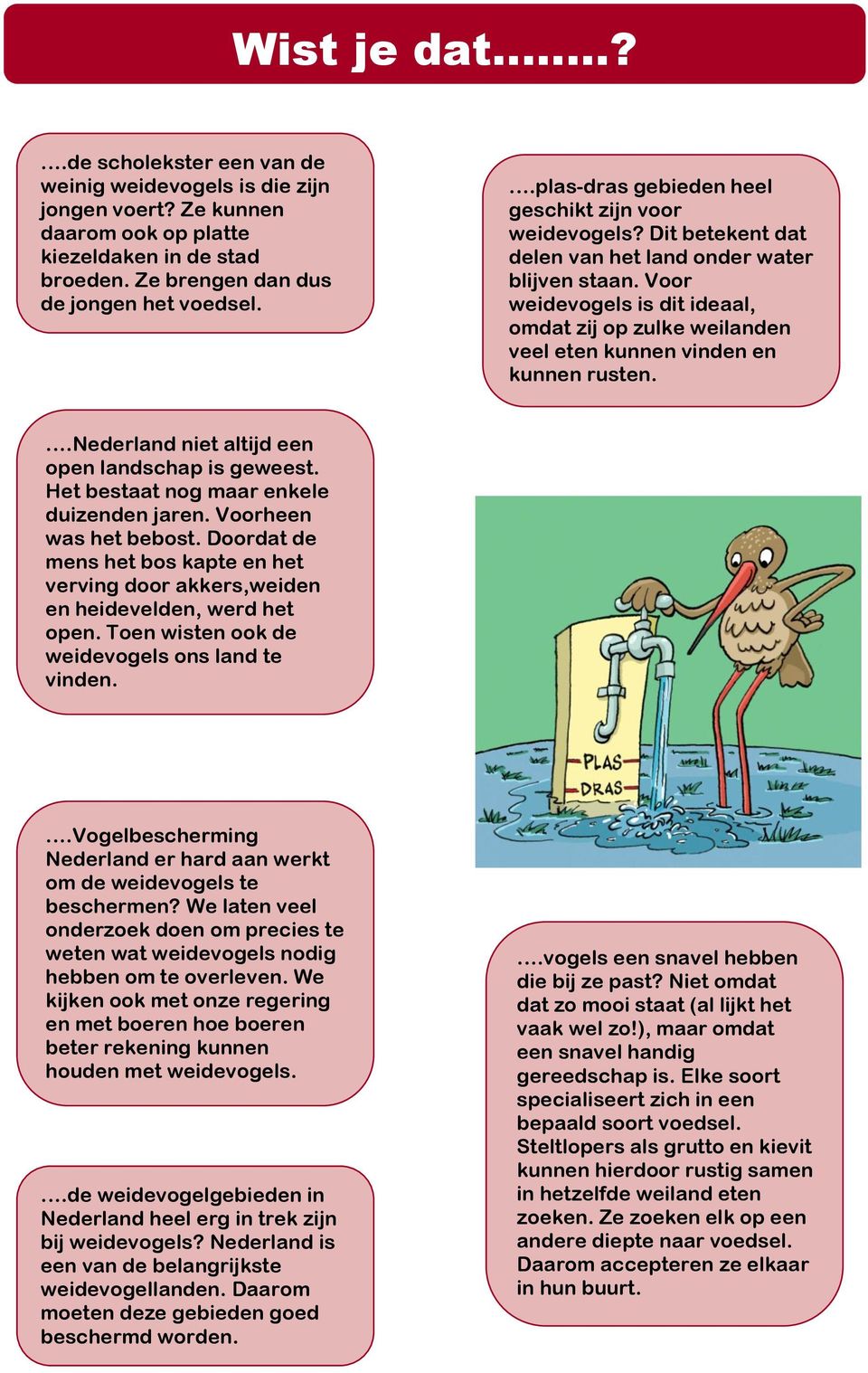 Voor weidevogels is dit ideaal, omdat zij op zulke weilanden veel eten kunnen vinden en kunnen rusten..nederland niet altijd een open landschap is geweest. Het bestaat nog maar enkele duizenden jaren.