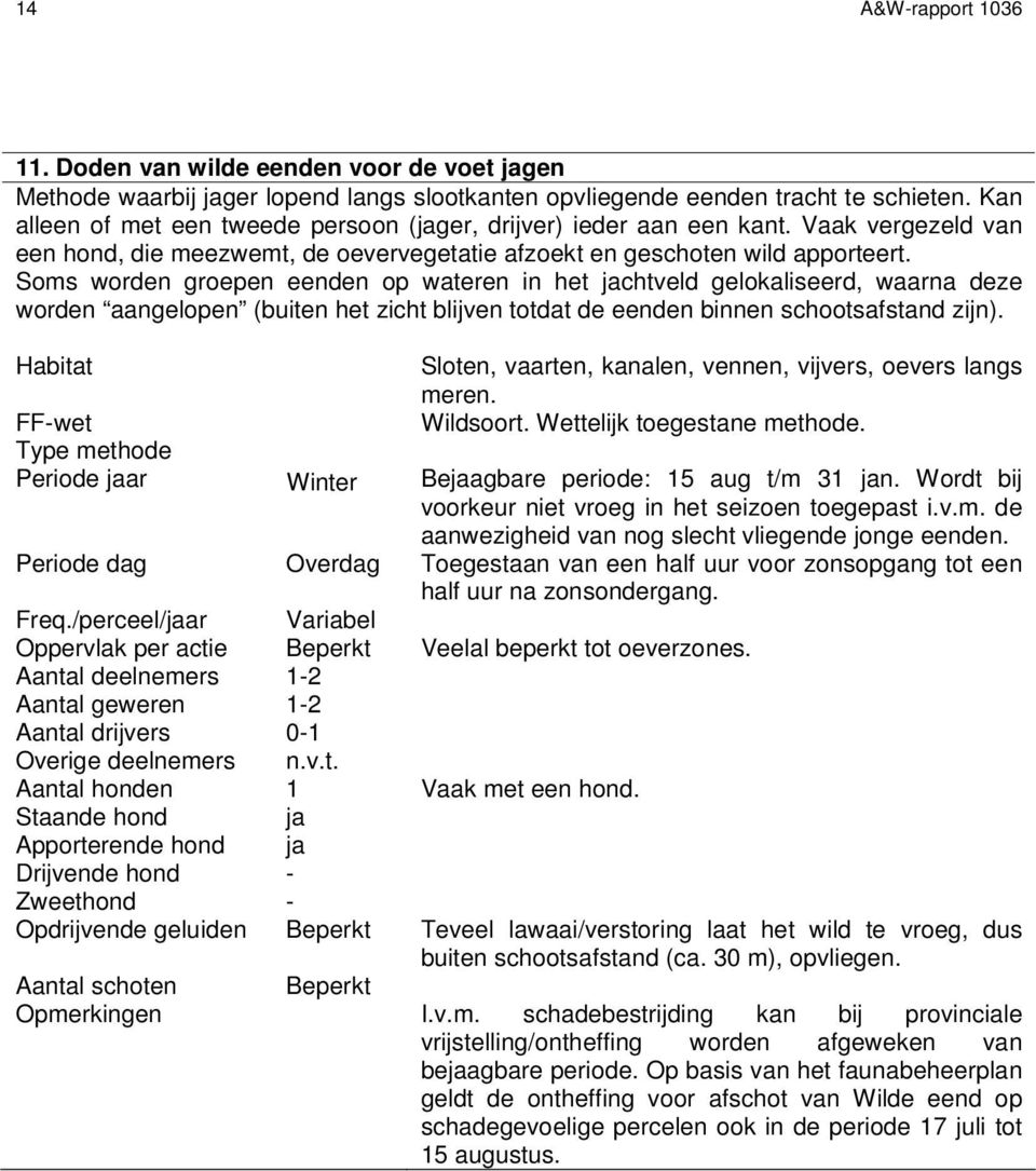 Soms worden groepen eenden op wateren in het jachtveld gelokaliseerd, waarna deze worden aangelopen (buiten het zicht blijven totdat de eenden binnen schootsafstand zijn).