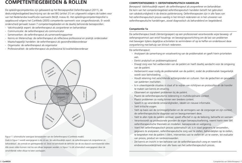 Er wordt onderscheid gemaakt tussen 7 competentiegebieden en de daarbij behorende beroepsrollen: Vakinhoudelijk expert: de oefentherapeut als zorgverlener en behandelaar Communicatie: de