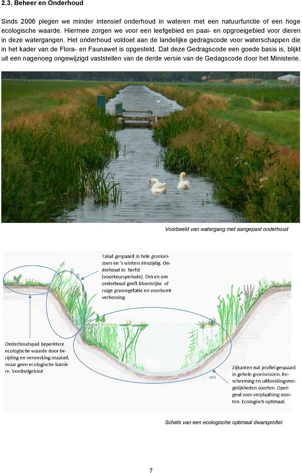 Het onderhoud voldoet aan de landelijke gedragscode voor waterschappen die in het kader van de Flora- en Faunawet is opgesteld.