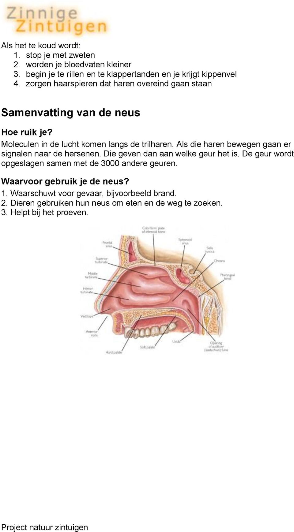 Als die haren bewegen gaan er signalen naar de hersenen. Die geven dan aan welke geur het is.