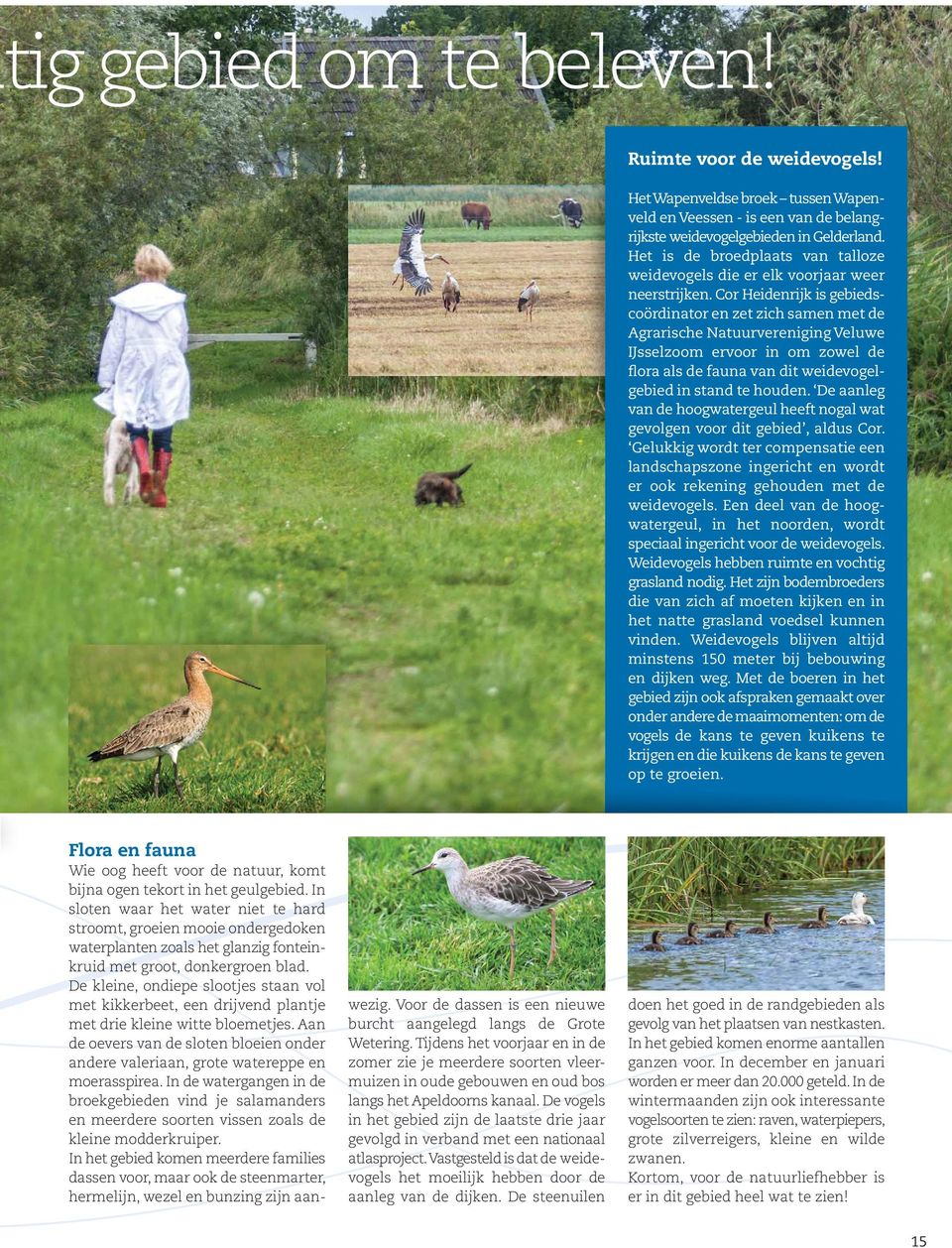 Cor Heidenrijk is gebiedscoördinator en zet zich samen met de Agrarische Natuurvereniging Veluwe IJsselzoom ervoor in om zowel de flora als de fauna van dit weidevogelgebied in stand te houden.