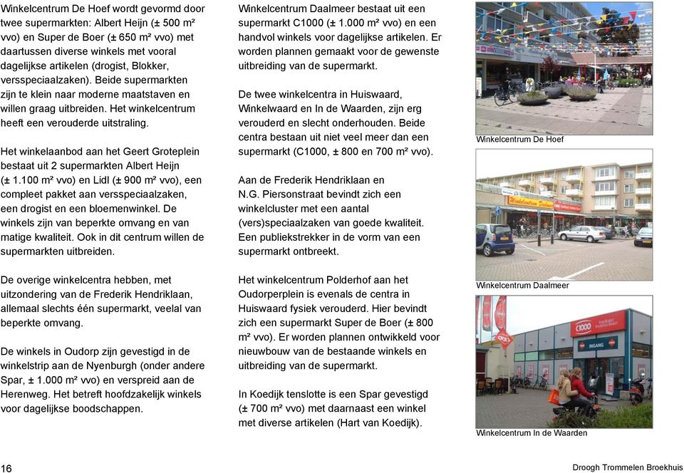 Het winkelaanbod aan het Geert Groteplein bestaat uit 2 supermarkten Albert Heijn (± 1.100 m² vvo) en Lidl (± 900 m² vvo), een compleet pakket aan versspeciaalzaken, een drogist en een bloemenwinkel.