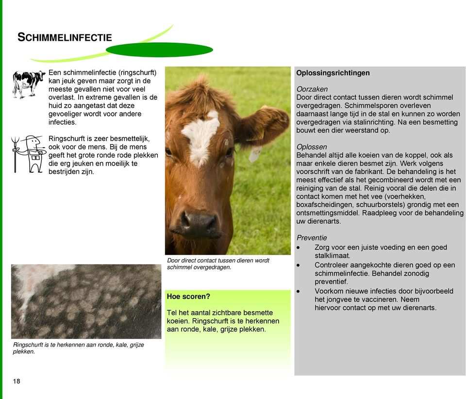 Bij de mens geeft het grote ronde rode plekken die erg jeuken en moeilijk te bestrijden zijn. Oplossingsrichtingen Oorzaken Door direct contact tussen dieren wordt schimmel overgedragen.