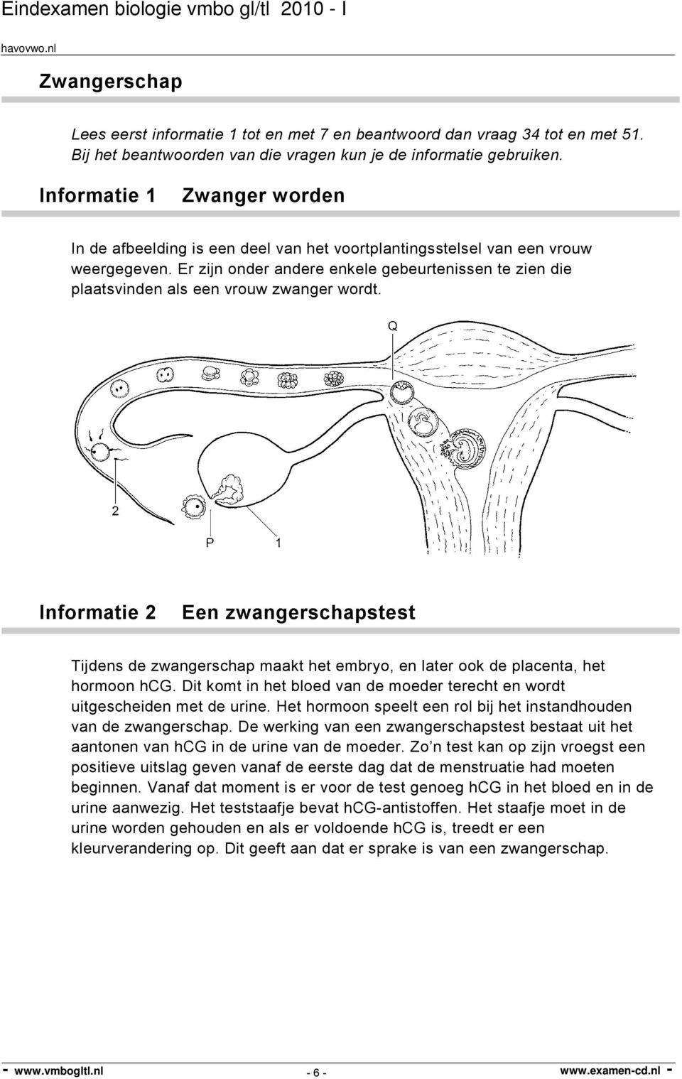 Er zijn onder andere enkele gebeurtenissen te zien die plaatsvinden als een vrouw zwanger wordt.