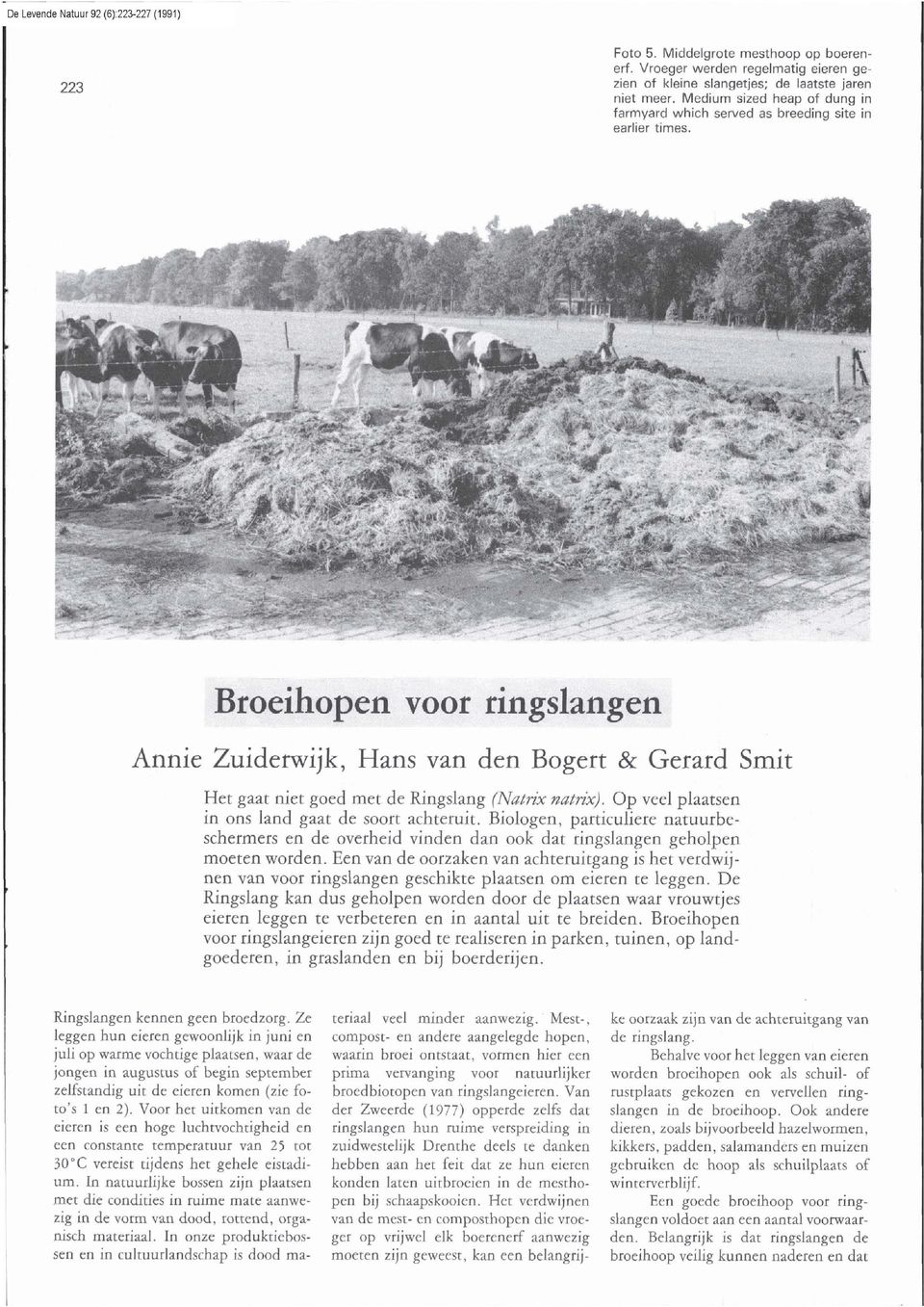 Op veel plaatsen in ons land gaat de soort achteruit. Biologen, particuliere natuurbeschermers en de overheid vinden dan ook dat ringslangen geholpen moeten worden.