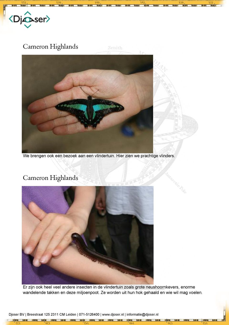 Cameron Highlands Er zijn ook heel veel andere insecten in de vlindertuin