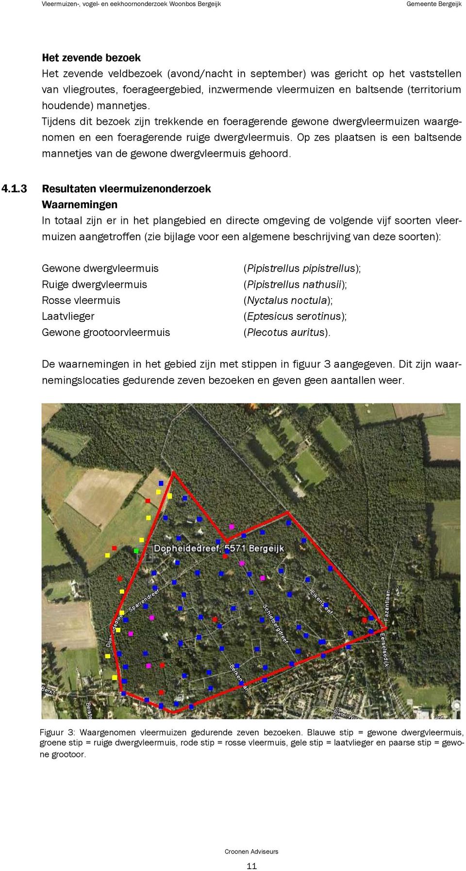 Op zes plaatsen is een baltsende mannetjes van de gewone dwergvleermuis gehoord. 4.1.