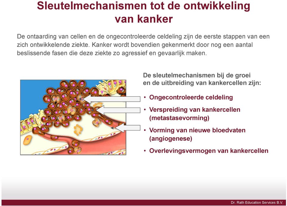 Kanker wordt bovendien gekenmerkt door nog een aantal beslissende fasen die deze ziekte zo agressief en gevaarlijk maken.