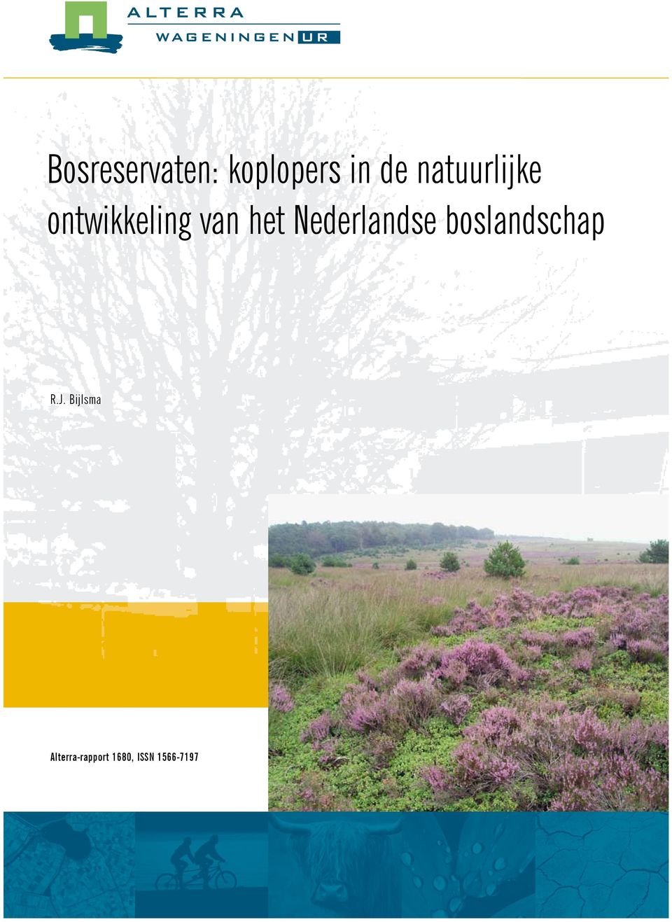 Nederlandse boslandschap R.J.