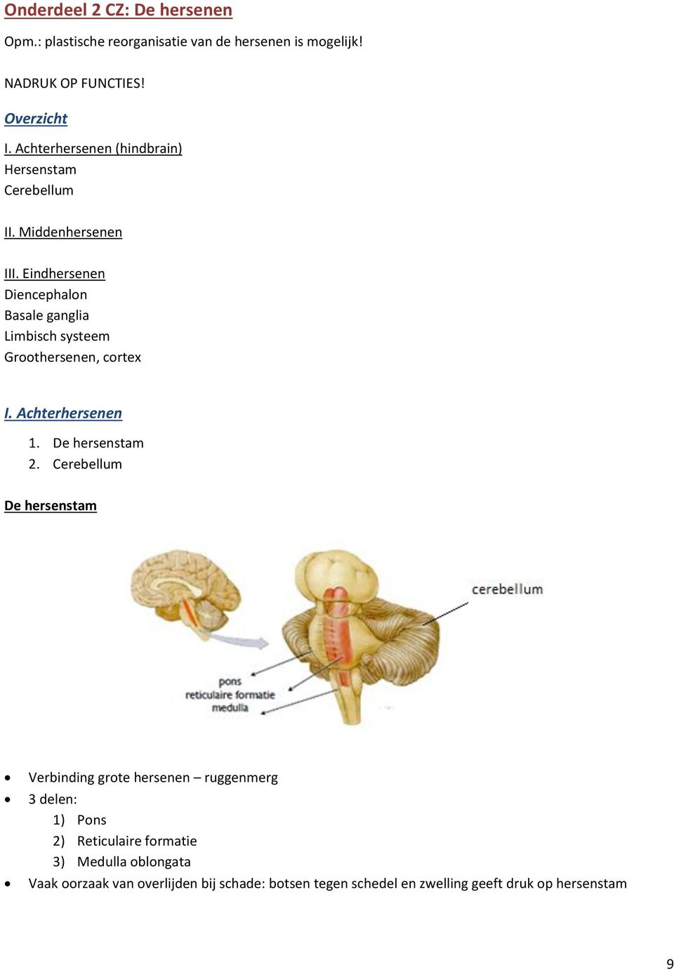 Eindhersenen Diencephalon Basale ganglia Limbisch systeem Groothersenen, cortex I. Achterhersenen 1. De hersenstam 2.