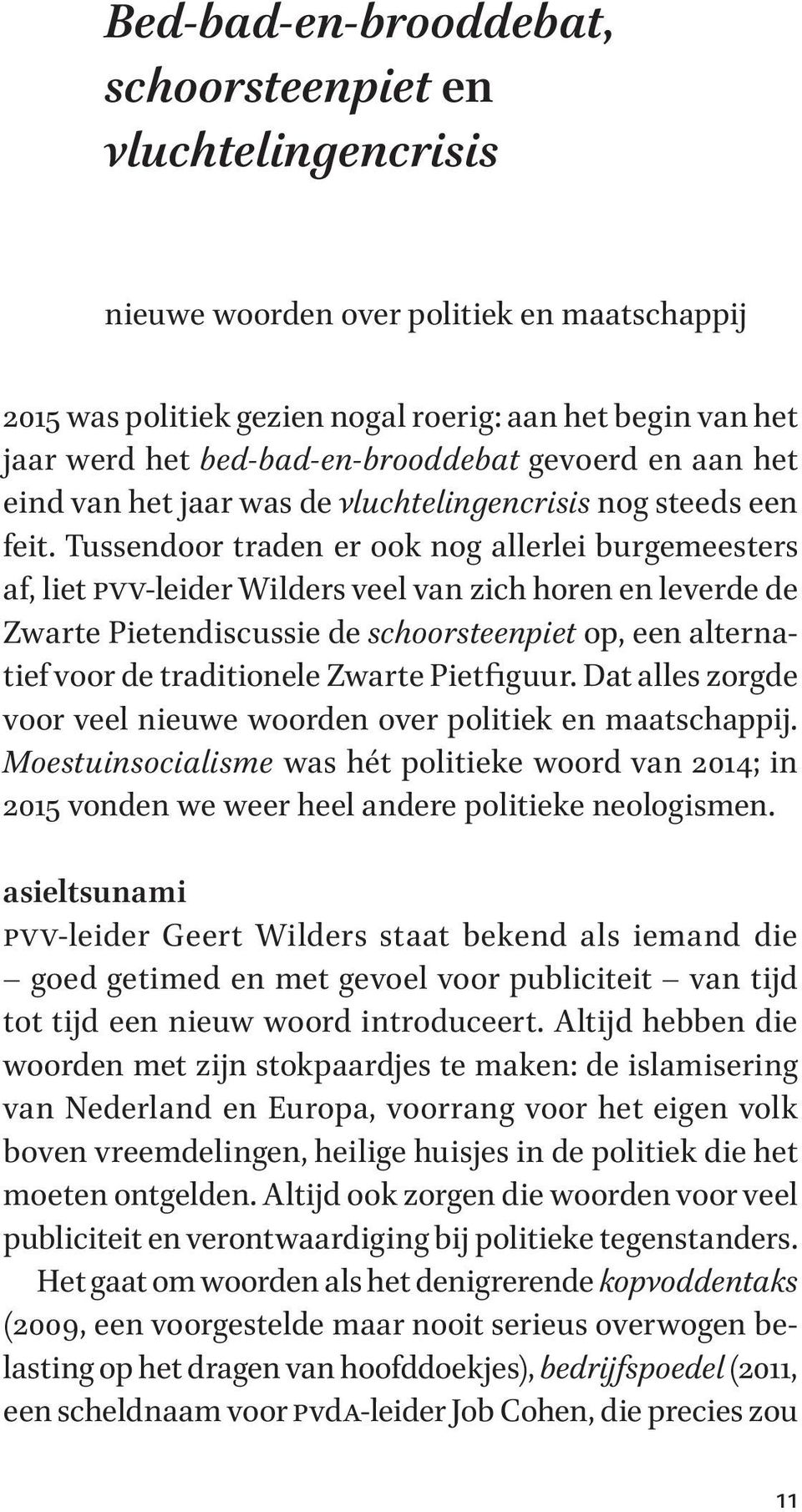 Tussendoor traden er ook nog allerlei burgemeesters af, liet pvv-leider Wilders veel van zich horen en leverde de Zwarte Pietendiscussie de schoorsteenpiet op, een alternatief voor de traditionele