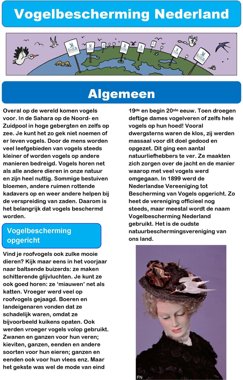 Sommige bestuiven bloemen, andere ruimen rottende kadavers op en weer andere helpen bij de verspreiding van zaden. Daarom is het belangrijk dat vogels beschermd worden.