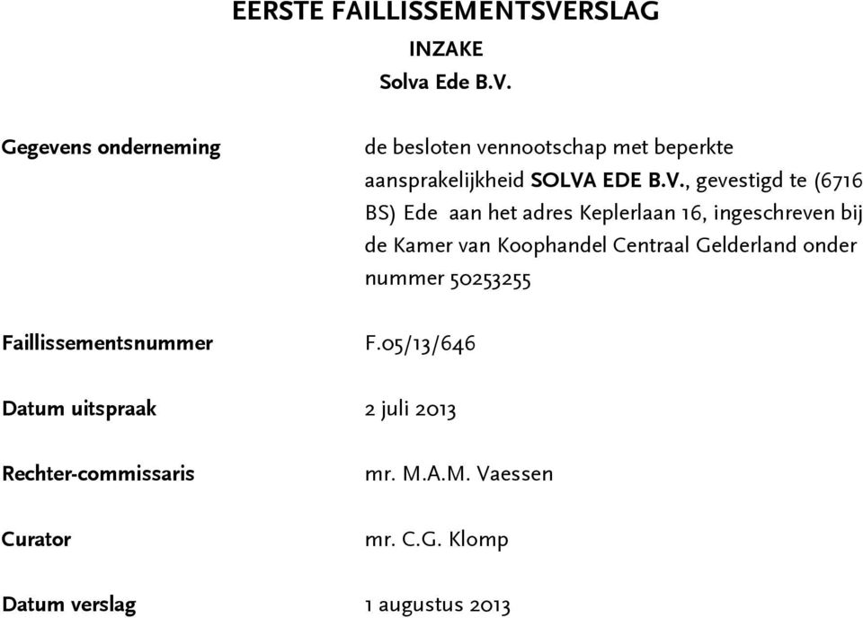 Gegevens onderneming de besloten vennootschap met beperkte aansprakelijkheid SOLVA