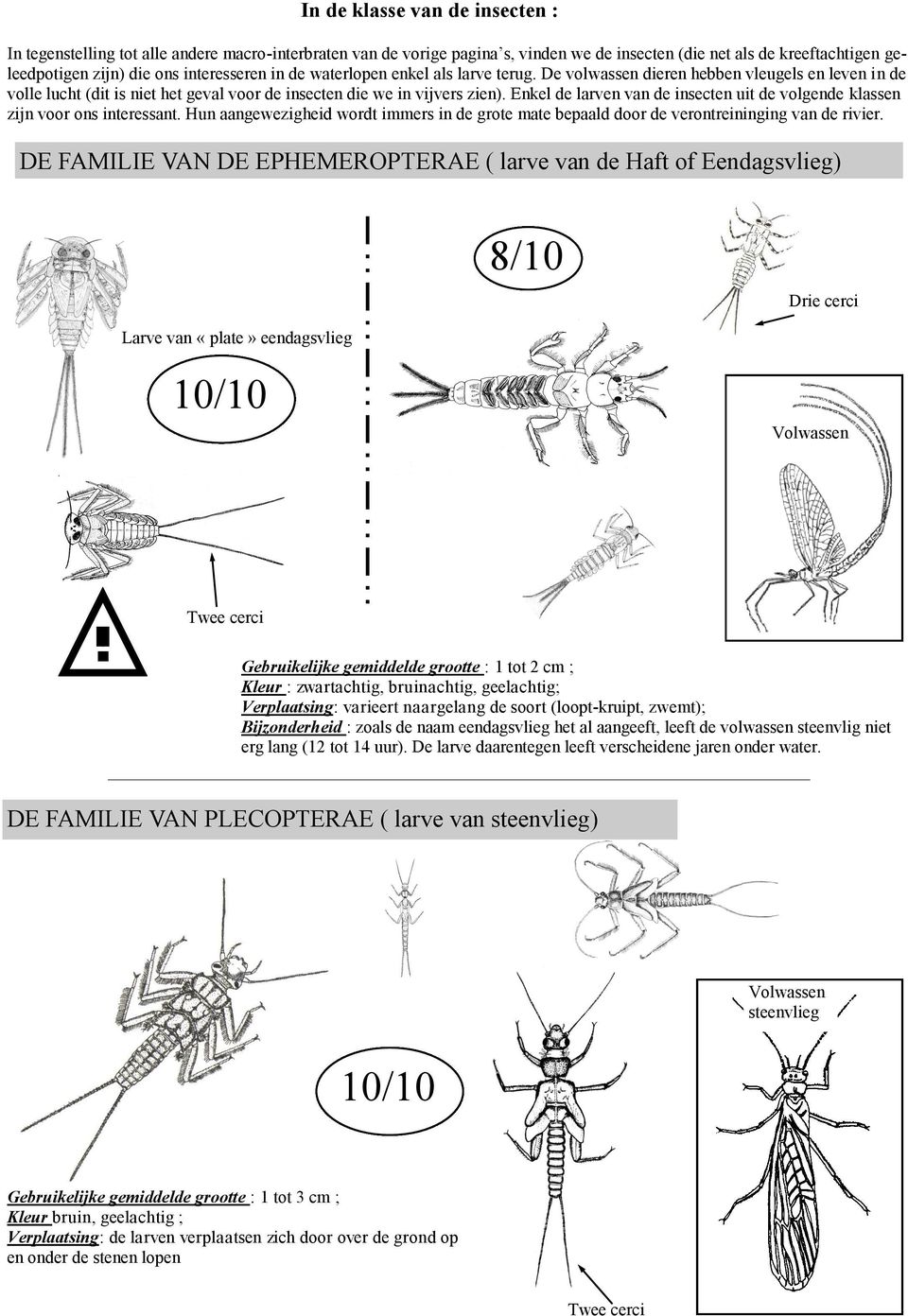 Enkel de larven van de insecten uit de volgende klassen zijn voor ons interessant. Hun aangewezigheid wordt immers in de grote mate bepaald door de verontreininging van de rivier.