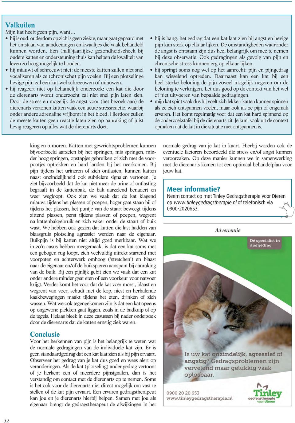 hij miauwt of schreeuwt niet: de meeste katten zullen niet snel vocaliseren als ze (chronische) pijn voelen. Bij een plotselinge hevige pijn zal een kat wel schreeuwen of miauwen.