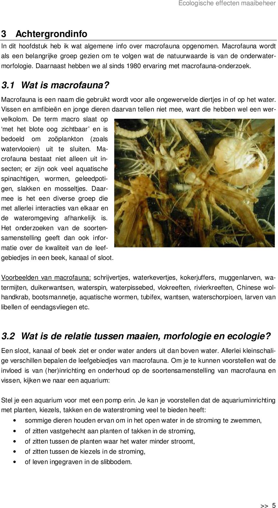 1 Wat is macrofauna? Macrofauna is een naam die gebruikt wordt voor alle ongewervelde diertjes in of op het water.