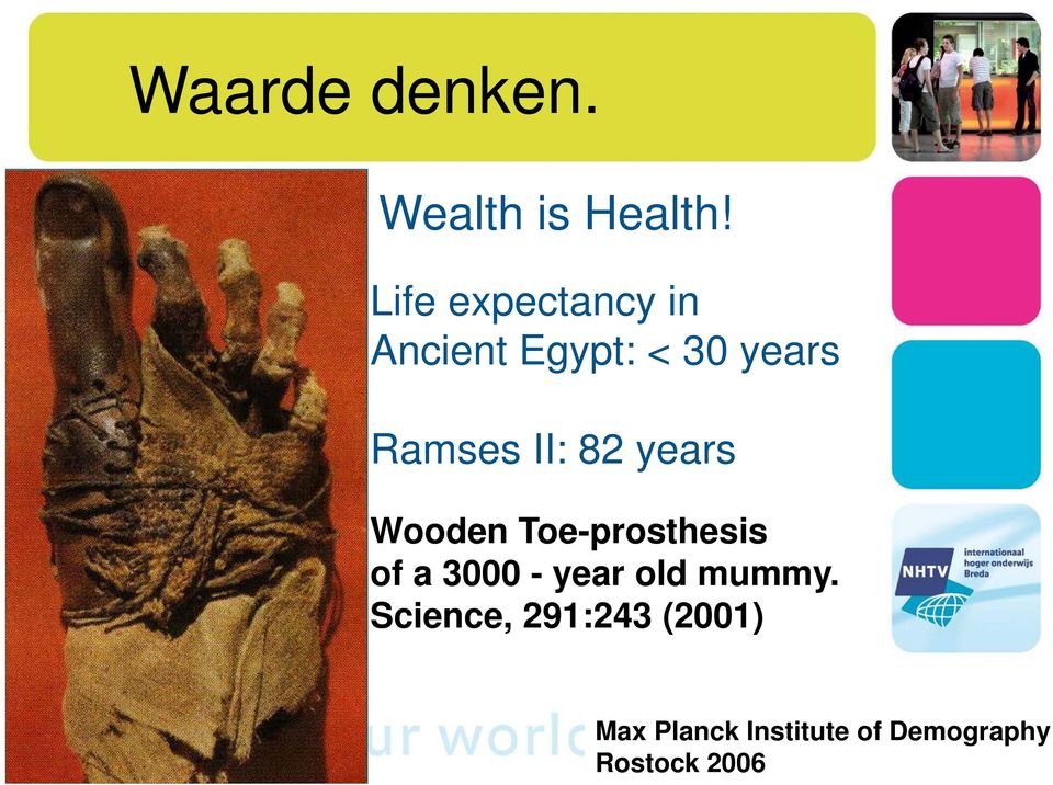 II: 82 years Wooden Toe-prosthesis of a 3000 - year
