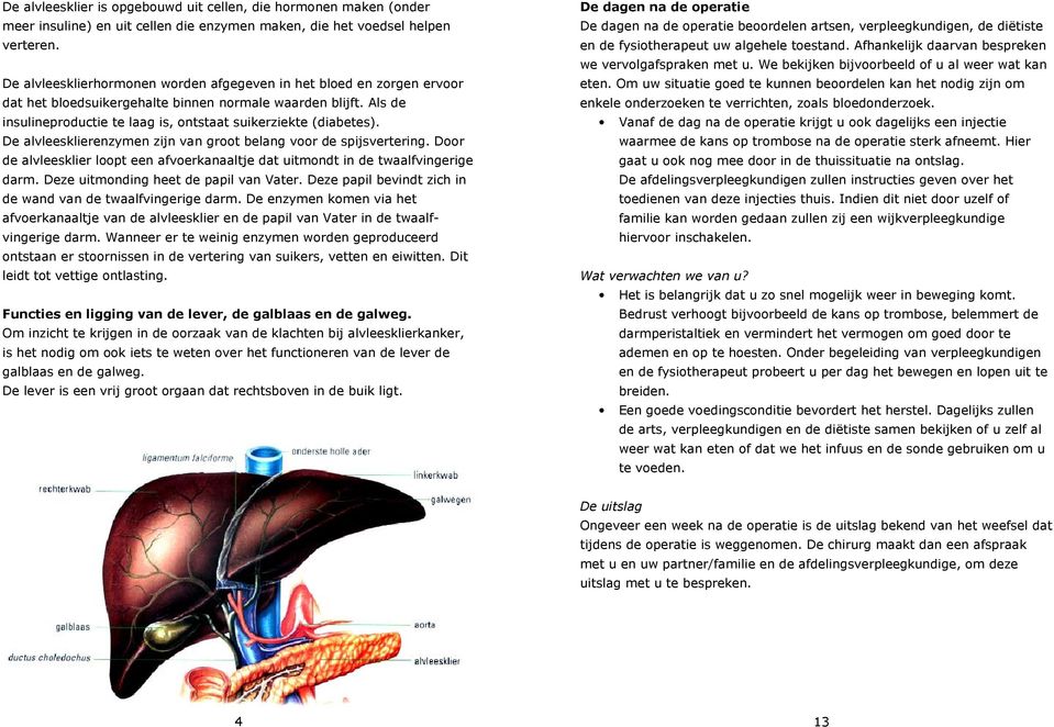 De alvleesklierenzymen zijn van groot belang voor de spijsvertering. Door de alvleesklier loopt een afvoerkanaaltje dat uitmondt in de twaalfvingerige darm. Deze uitmonding heet de papil van Vater.