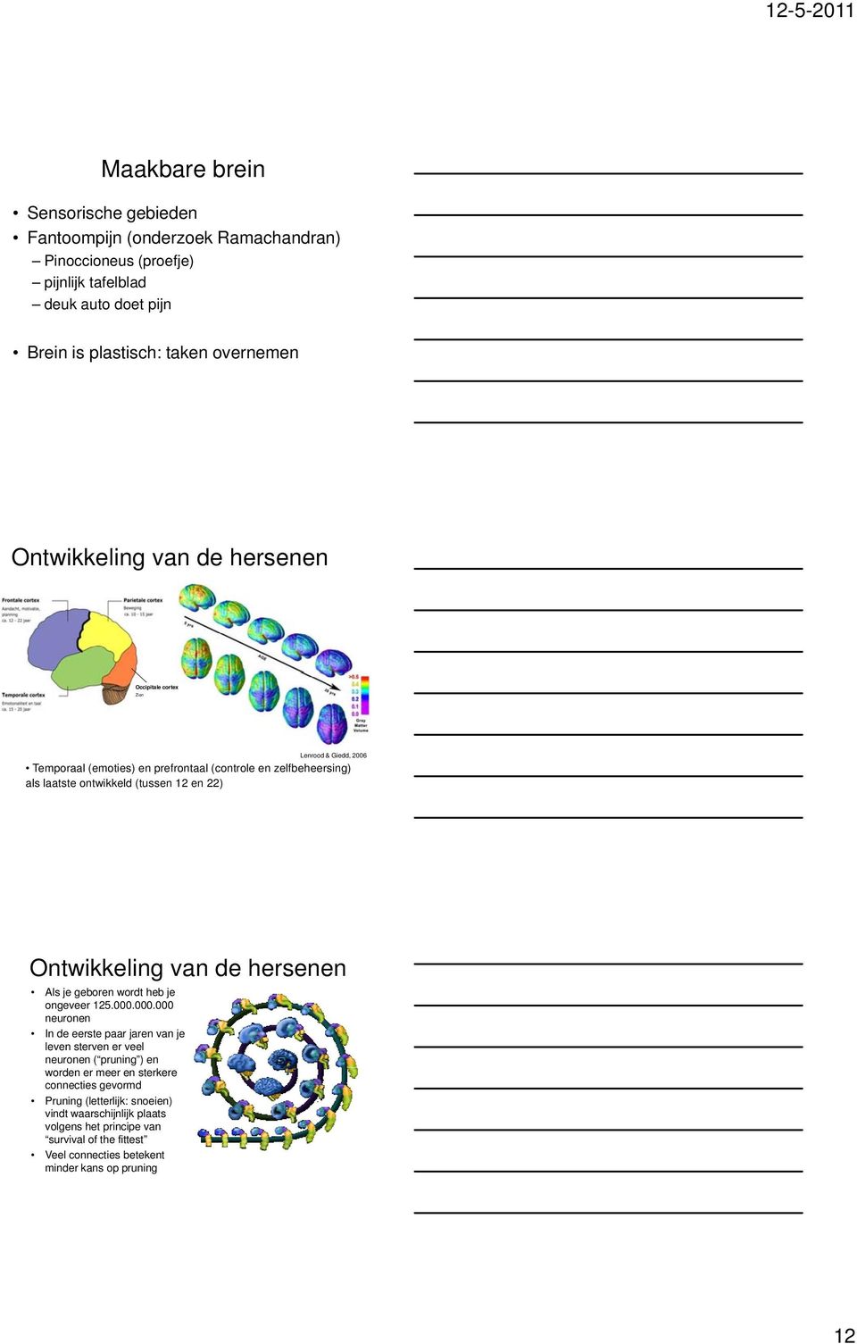 Ontwikkeling van de hersenen Als je geboren wordt heb je ongeveer 125.000.