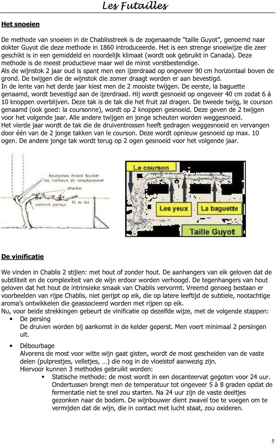 Als de wijnstok 2 jaar oud is spant men een ijzerdraad op ongeveer 90 cm horizontaal boven de grond. De twijgen die de wijnstok die zomer draagt worden er aan bevestigd.