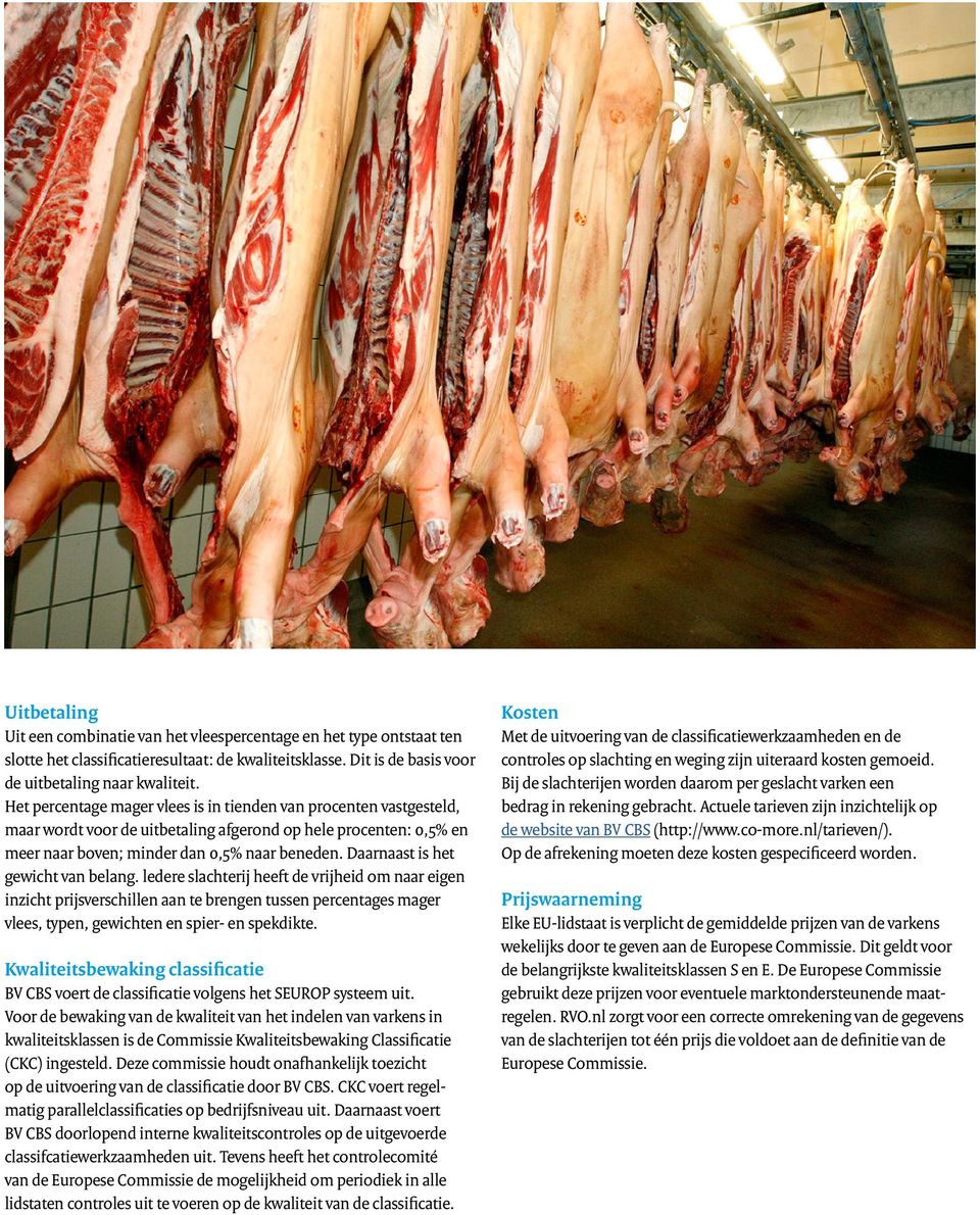 Daarnaast is het gewicht van belang. ledere slachterij heeft de vrijheid om naar eigen inzicht prijsverschillen aan te brengen tussen percentages mager vlees, typen, gewichten en spier- en spekdikte.