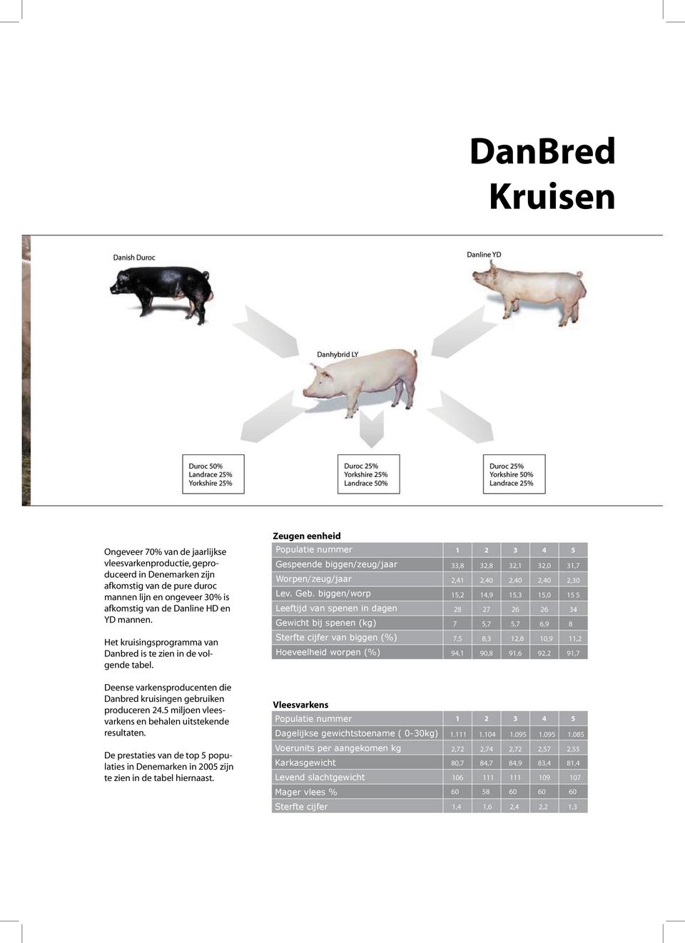 De prestaties van de top 5 populaties in Denemarken in 2005 zijn te zien in de tabel hiernaast. Zeugen eenheid Populatie nummer Gespeende biggen/zeug/jaar Worpen/zeug/jaar Lev. Geb.