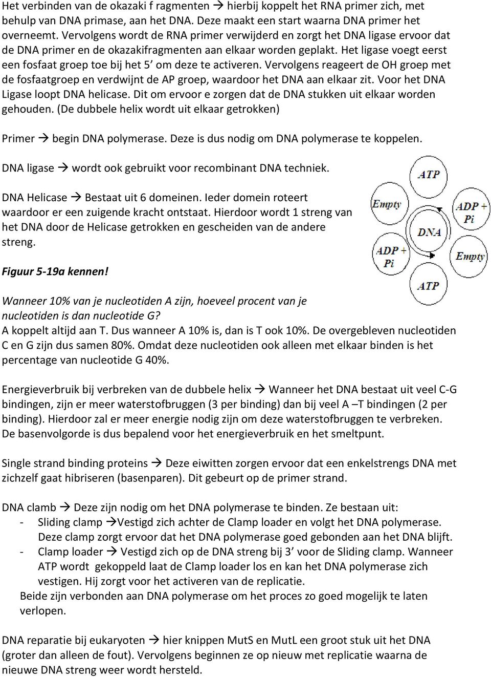 Het ligase voegt eerst een fosfaat groep toe bij het 5 om deze te activeren. Vervolgens reageert de OH groep met de fosfaatgroep en verdwijnt de AP groep, waardoor het DNA aan elkaar zit.