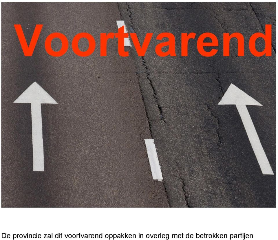 voortvarend oppakken