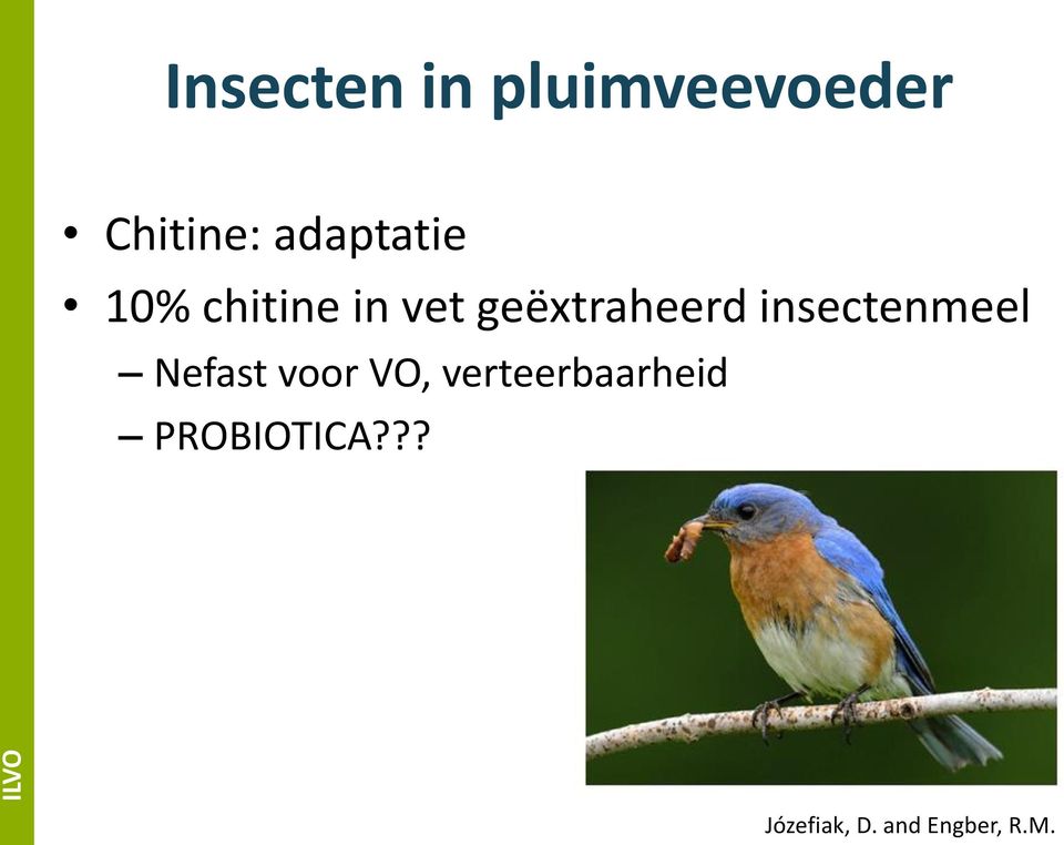 insectenmeel Nefast voor VO,