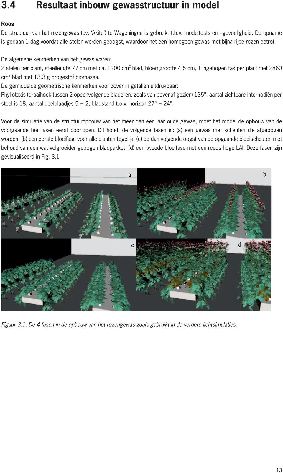 De algemene kenmerken van het gewas waren: 2 stelen per plant, steellengte 77 cm met ca. 1200 cm 2 blad, bloemgrootte 4.5 cm, 1 ingebogen tak per plant met 2860 cm 2 blad met 13.