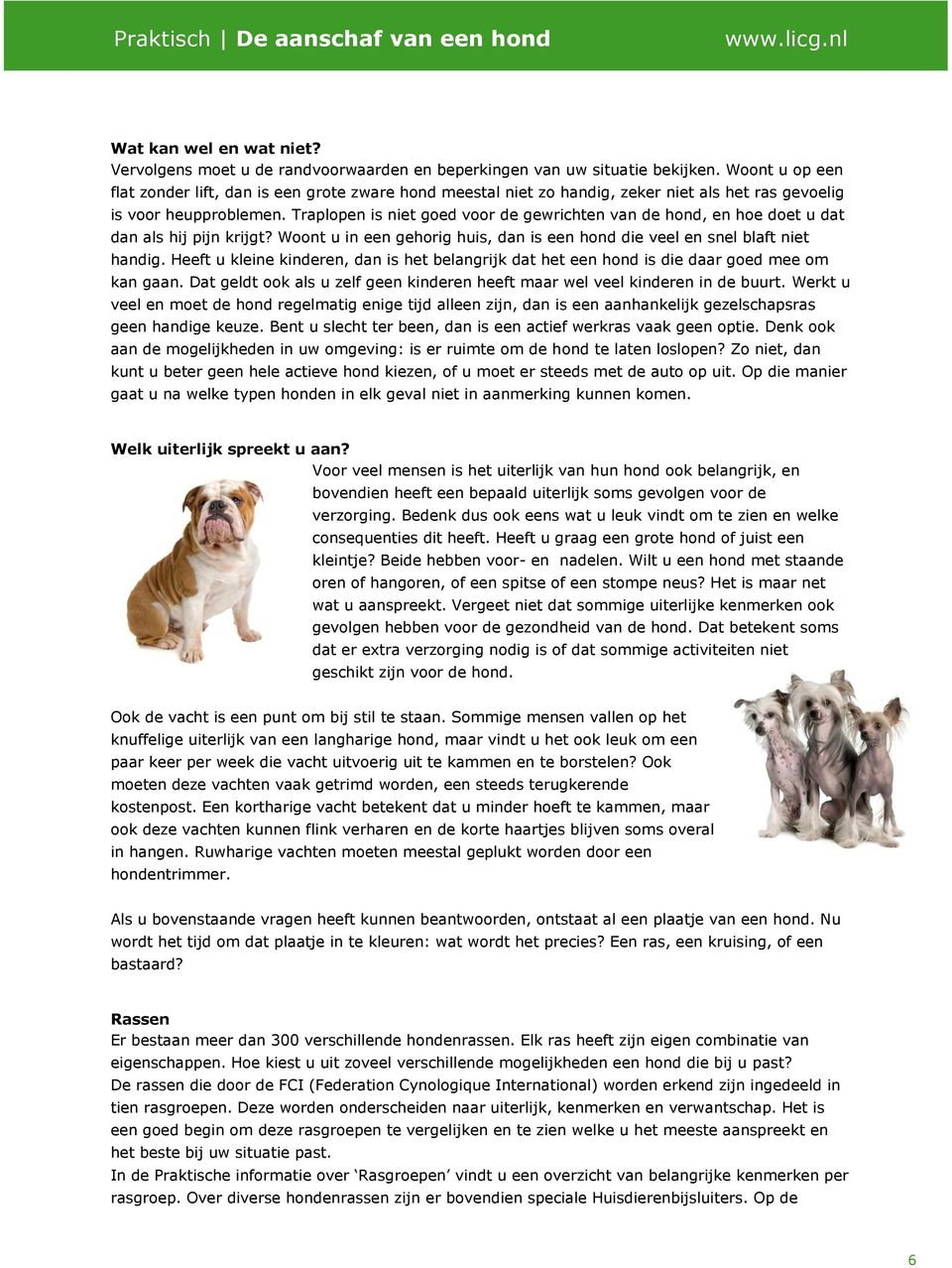 Traplopen is niet goed voor de gewrichten van de hond, en hoe doet u dat dan als hij pijn krijgt? Woont u in een gehorig huis, dan is een hond die veel en snel blaft niet handig.