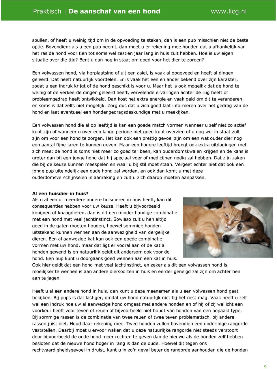 Hoe is uw eigen situatie over die tijd? Bent u dan nog in staat om goed voor het dier te zorgen? Een volwassen hond, via herplaatsing of uit een asiel, is vaak al opgevoed en heeft al dingen geleerd.