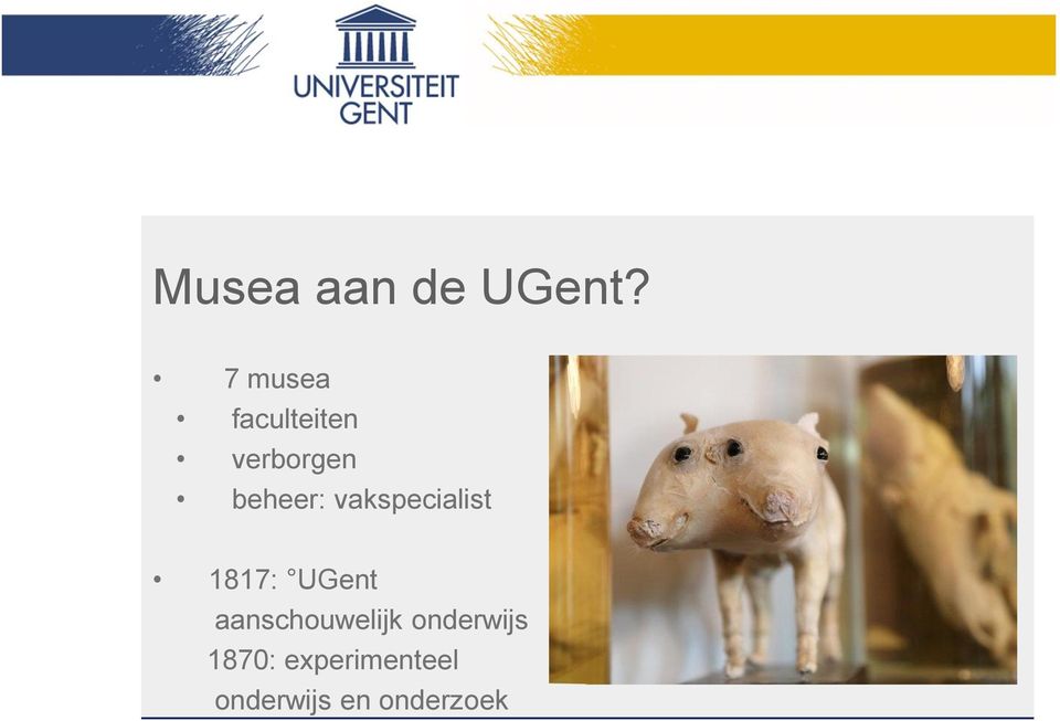 vakspecialist 1817: UGent