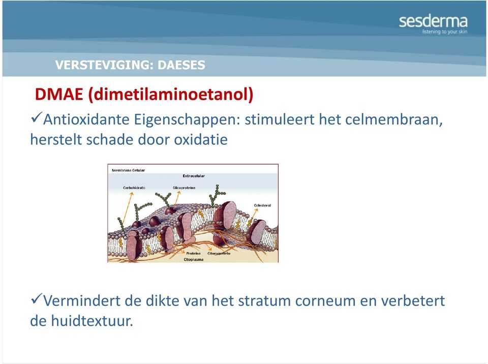 herstelt schade door oxidatie Vermindert de