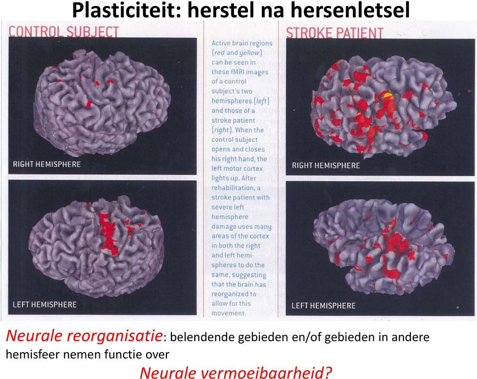 reorganisatie: belendende gebieden en/of gebieden