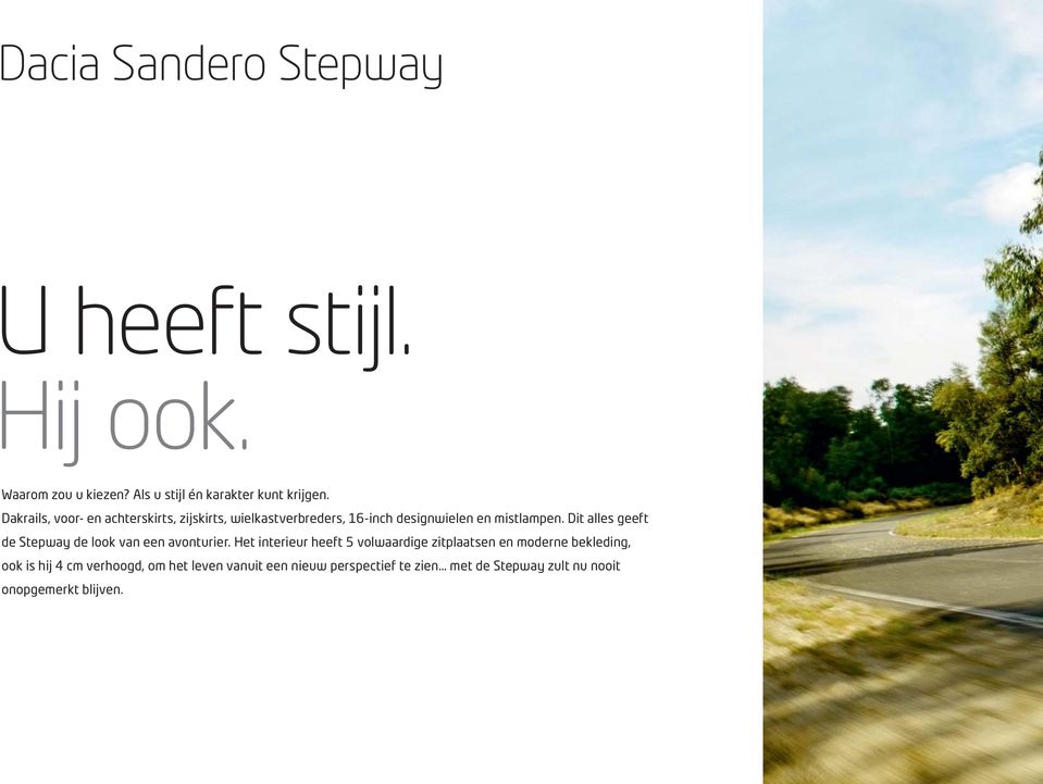 Dit alles geeft de Stepway de look van een avonturier.