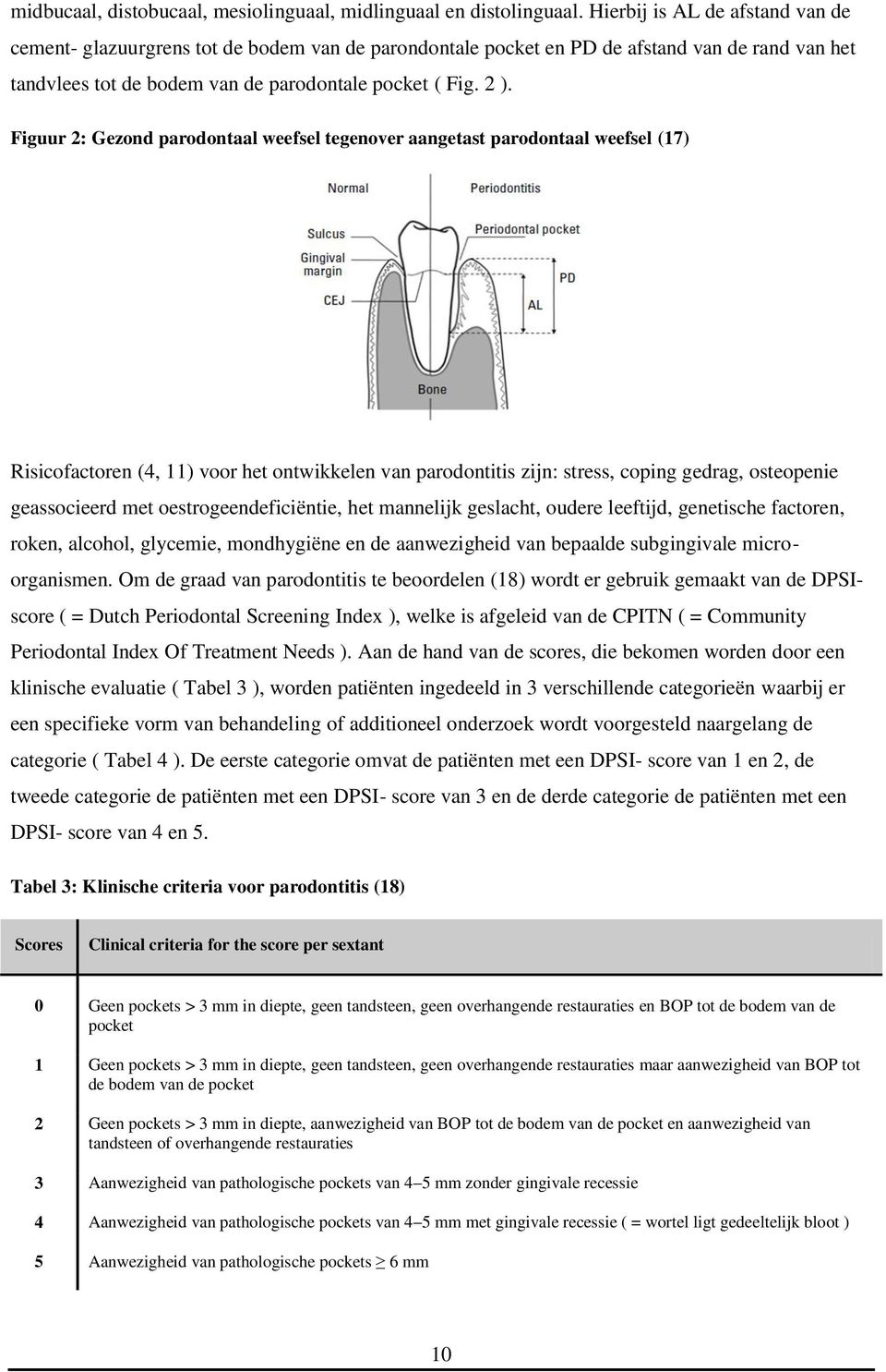 Figuur 2: Gezond parodontaal weefsel tegenover aangetast parodontaal weefsel (17) Risicofactoren (4, 11) voor het ontwikkelen van parodontitis zijn: stress, coping gedrag, osteopenie geassocieerd met