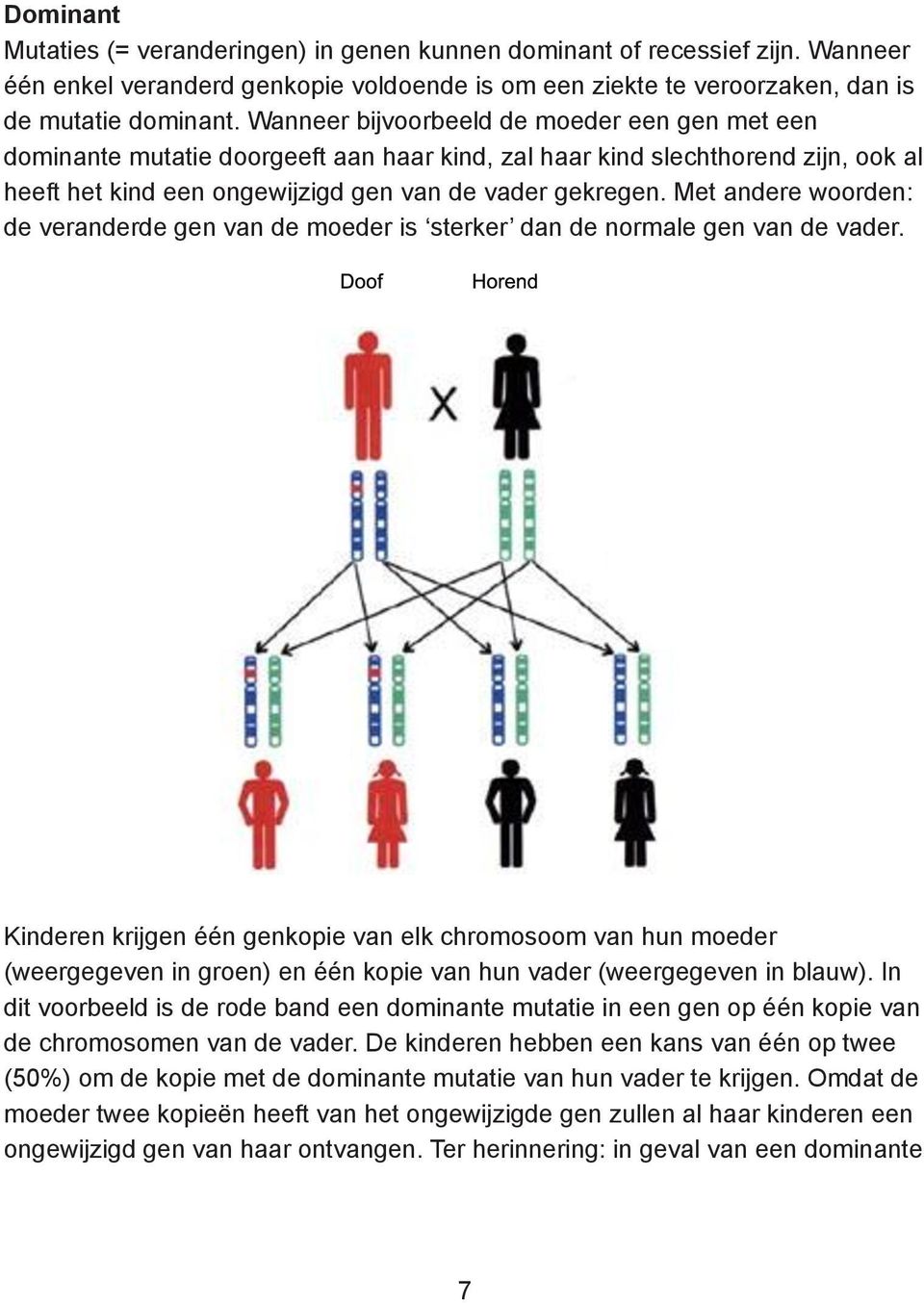 Met andere woorden: de veranderde gen van de moeder is sterker dan de normale gen van de vader.