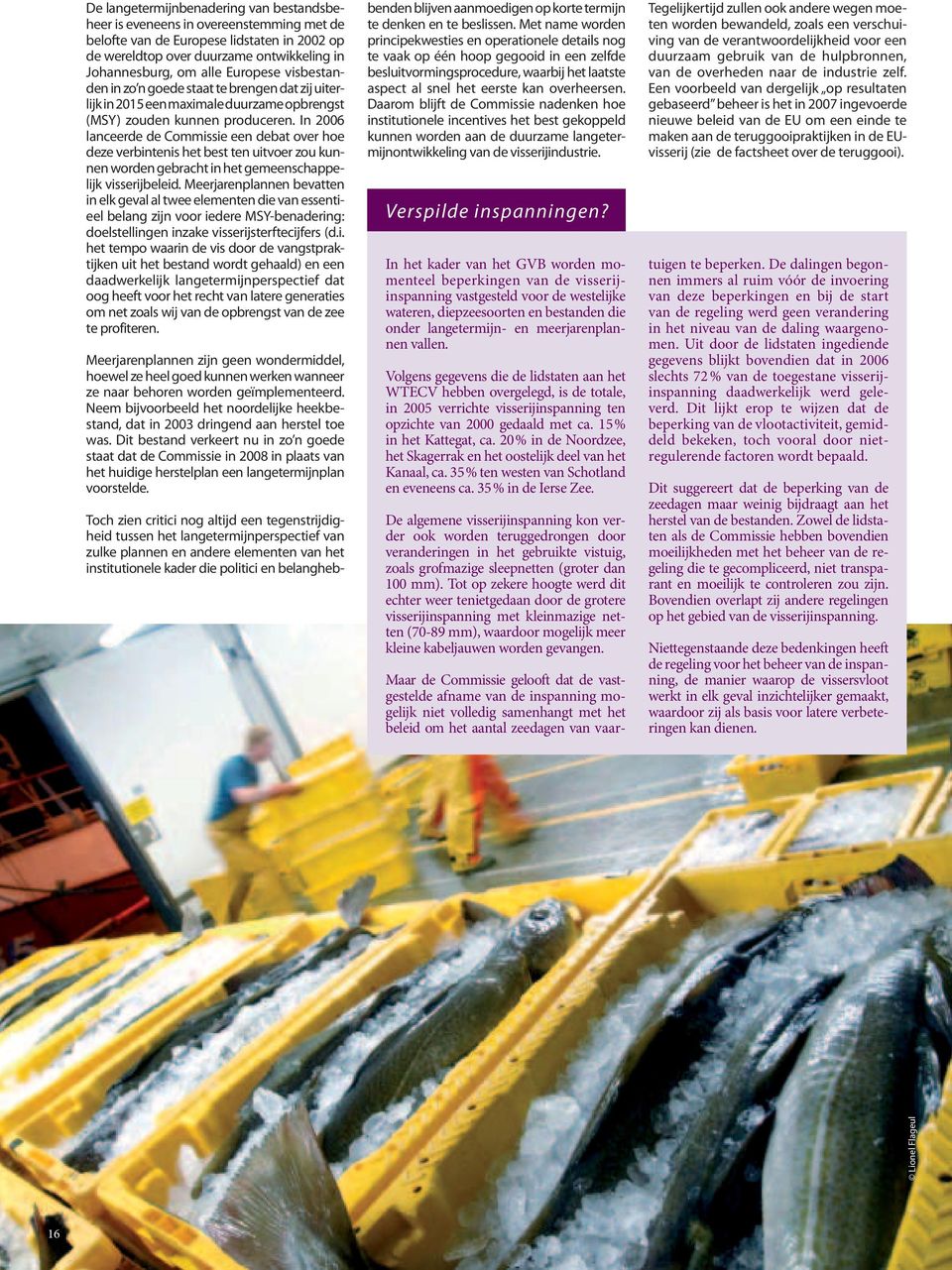In 2006 lanceerde de Commissie een debat over hoe deze verbintenis het best ten uitvoer zou kunnen worden gebracht in het gemeenschappelijk visserijbeleid.