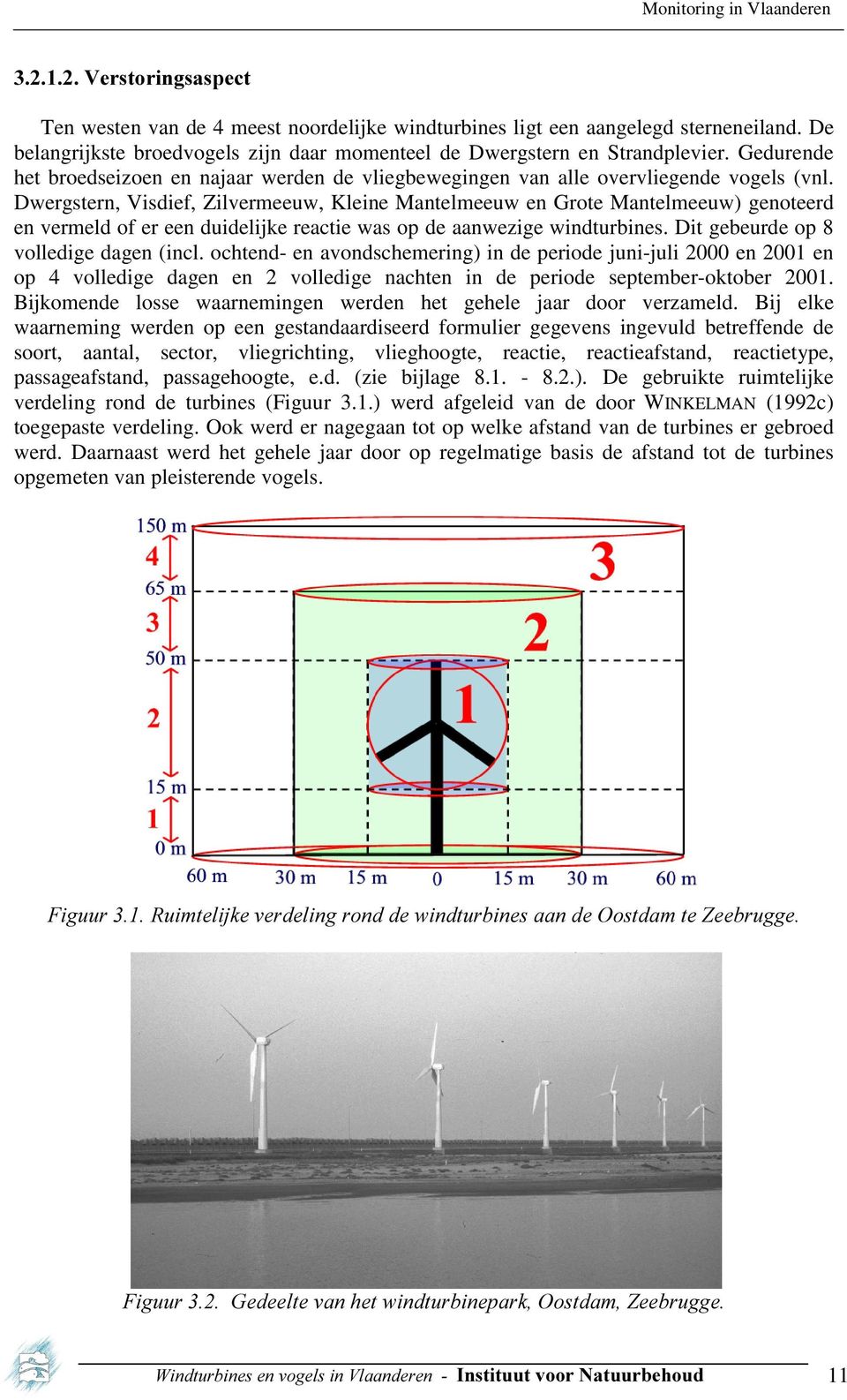 Dwergstern, Visdief, Zilvermeeuw, Kleine Mantelmeeuw en Grote Mantelmeeuw) genoteerd en vermeld of er een duidelijke reactie was op de aanwezige windturbines. Dit gebeurde op 8 volledige dagen (incl.