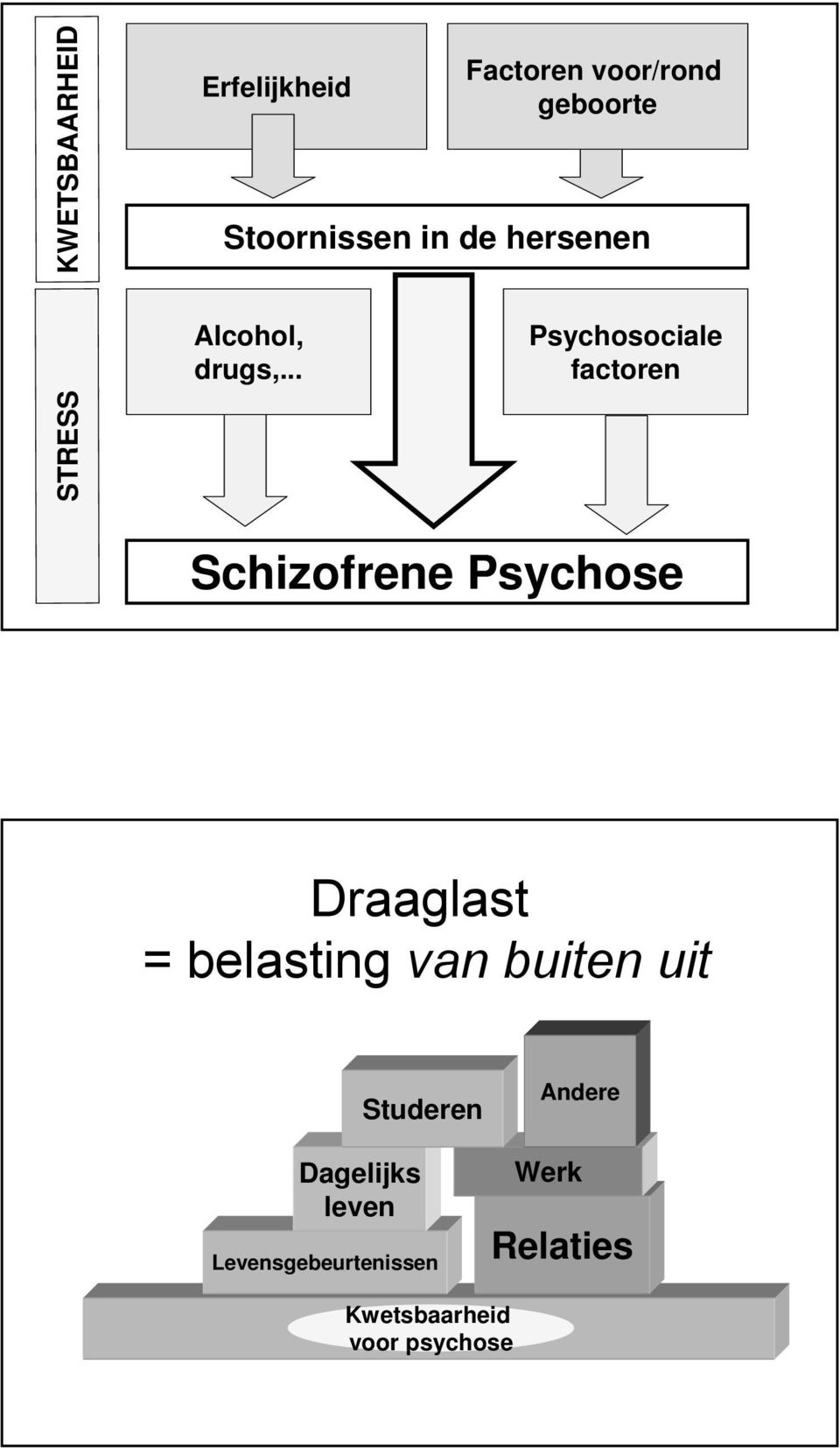 .. Psychosociale factoren Schizofrene Psychose Draaglast = belasting