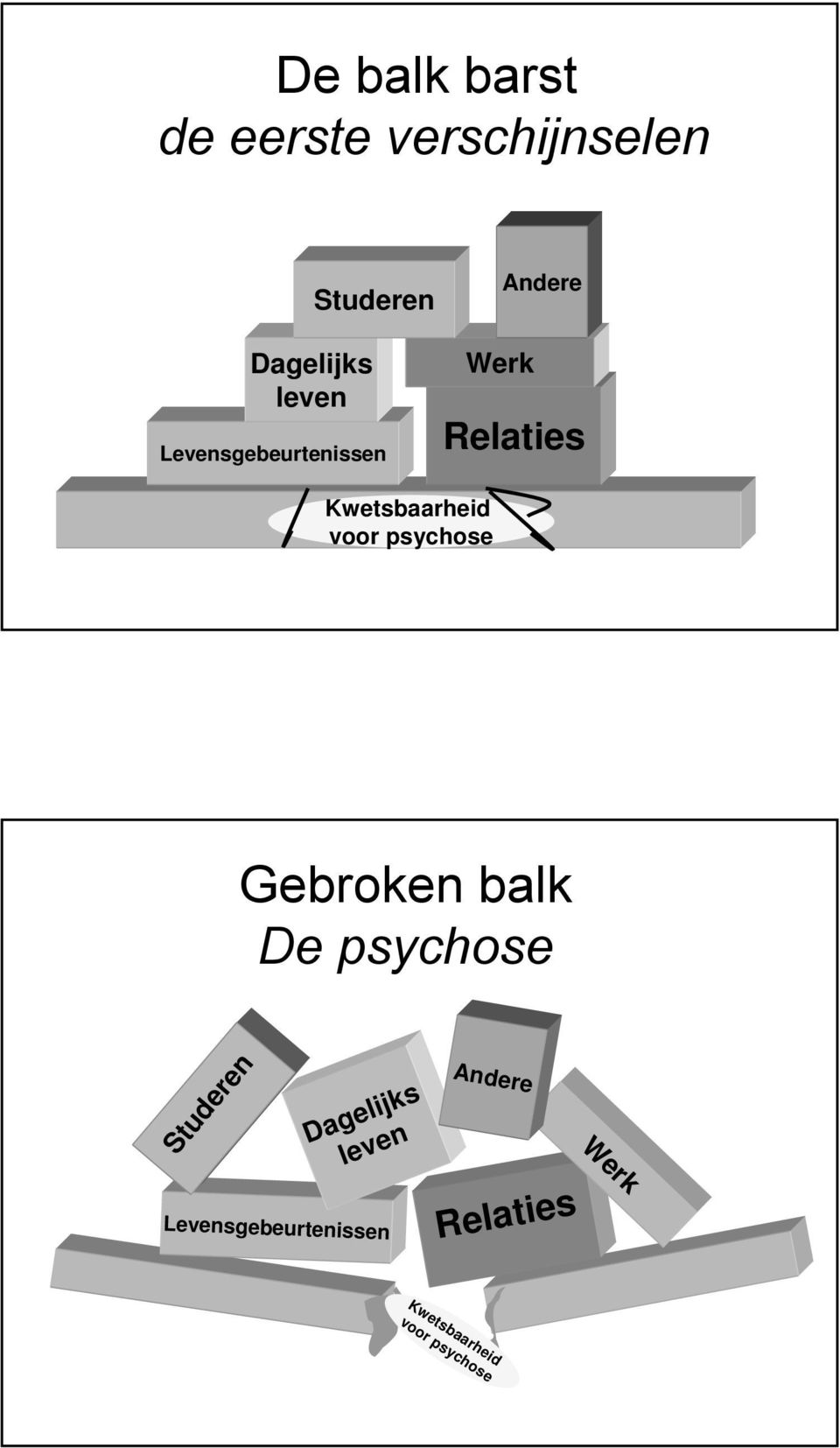 psychose Gebroken balk De psychose Studeren Dagelijks leven