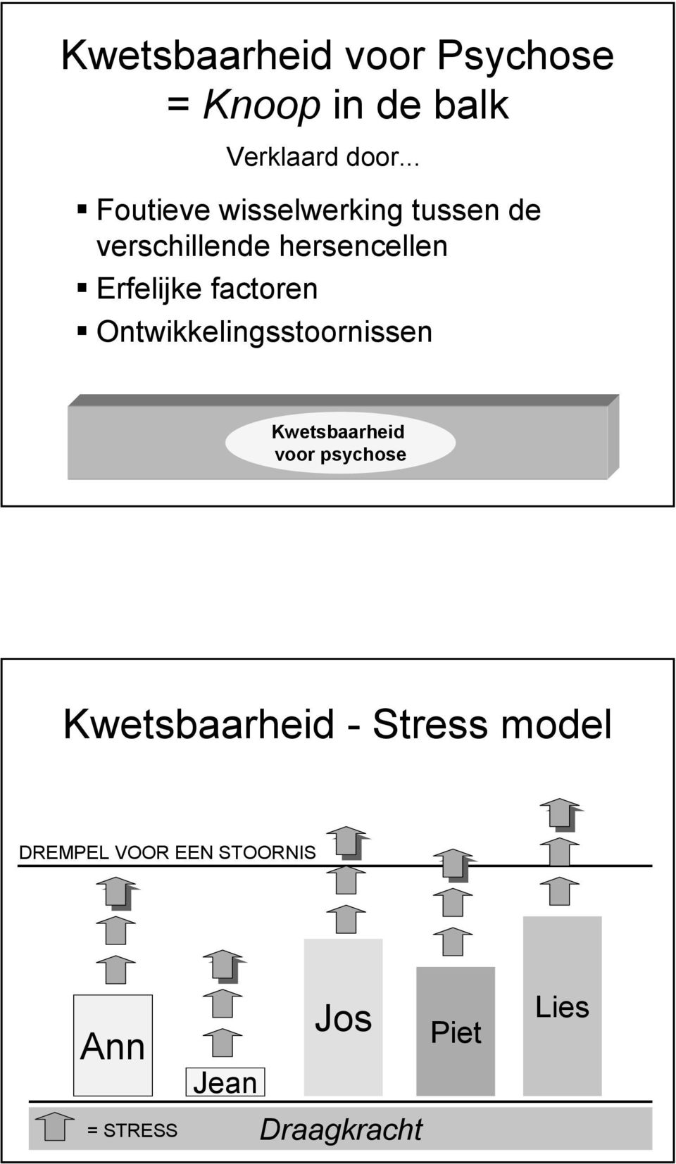 factoren Ontwikkelingsstoornissen Kwetsbaarheid voor psychose