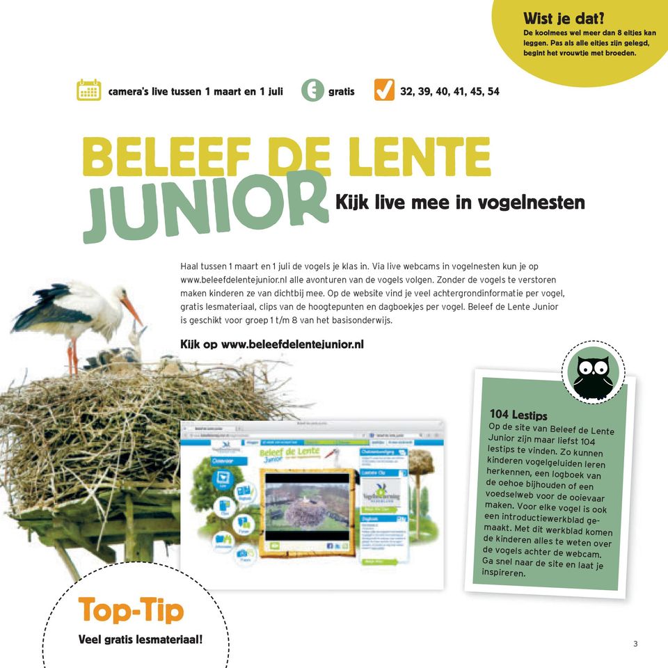 Via live webcams in vogelnesten kun je op www.beleefdelentejunior.nl alle avonturen van de vogels volgen. Zonder de vogels te verstoren maken kinderen ze van dichtbij mee.