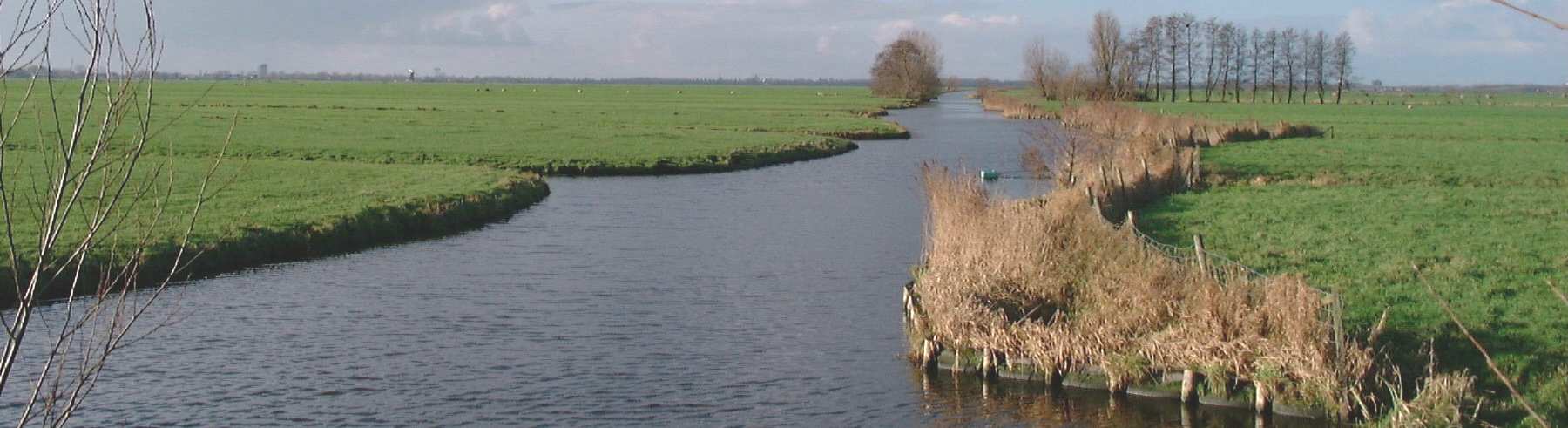 Gemiddeld 50 cm Grutto s, jongvee, ruwvoer, veensafari Natte