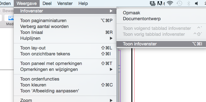 Paginanummering De paginanummering maakt u aan de linkerzijde aan onder Document > Sectie. U heeft hier verschillende opties.