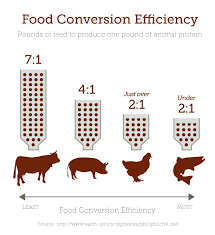 2) In verg met rund en varken is kip duurzamer in energieconversie => lichtere ecologische voetafdruk Kip heeft een gunstige CO2-footprint vanwege de efficiëntie waarmee voer wordt omgezet in vlees.