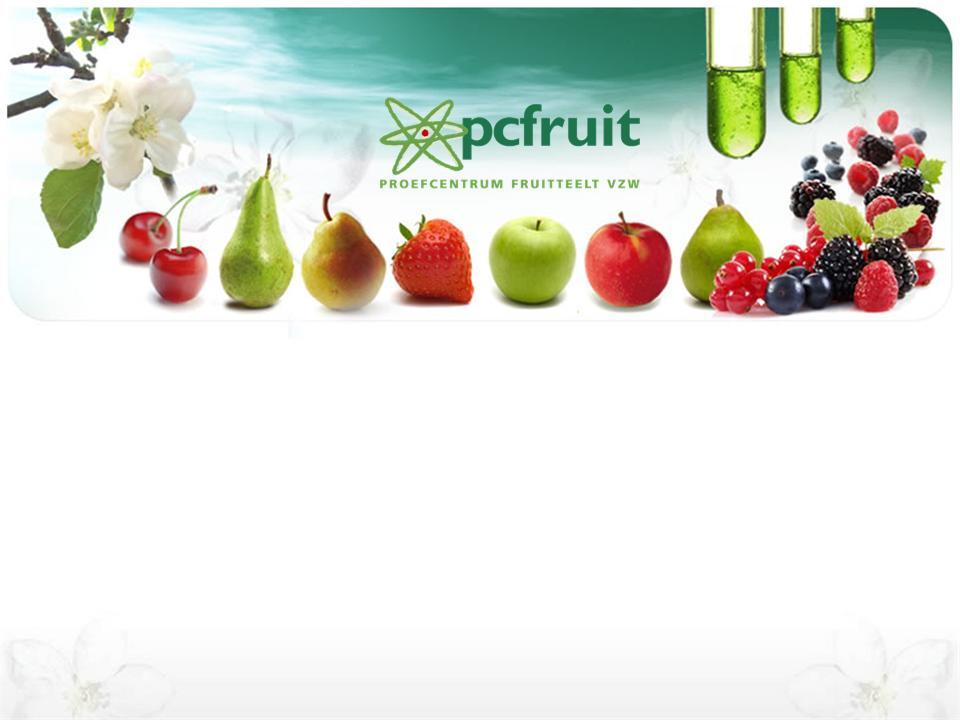 Little Cherry Virus Dinsdag 9 september 2014 Samen sterk voor de Haspengouwse kersen Toon Vanrykel, pcfruit