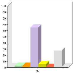 pagina 9 v. 12 Taakverdeling M/V in de kerk Praktische onderlinge zorg Door 77% van de kerken wordt aangegeven dat de praktische zorg door mannen en vrouwen wordt uitgevoerd.